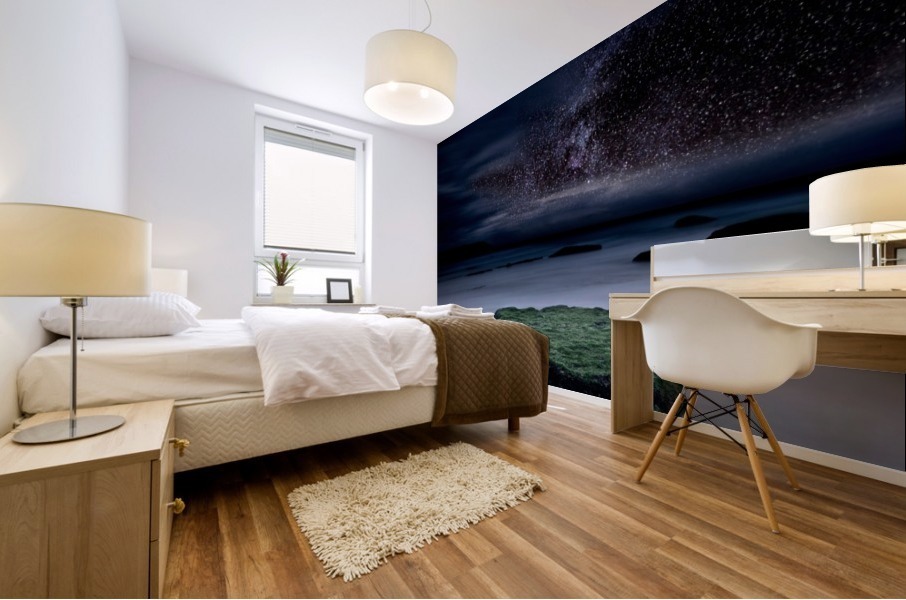 Into the Shadows Mural print