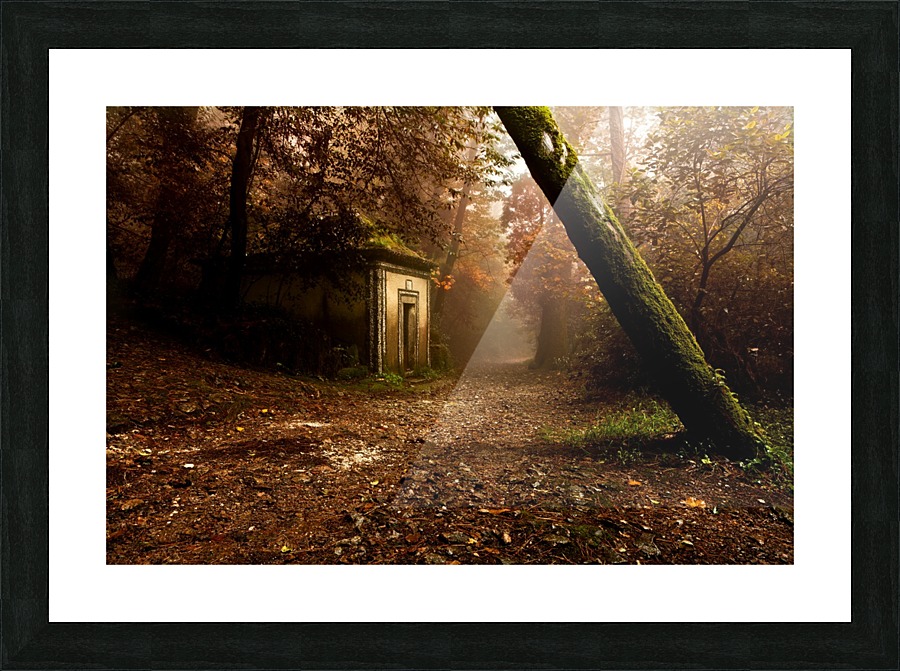 The enchanted trail Picture Frame print