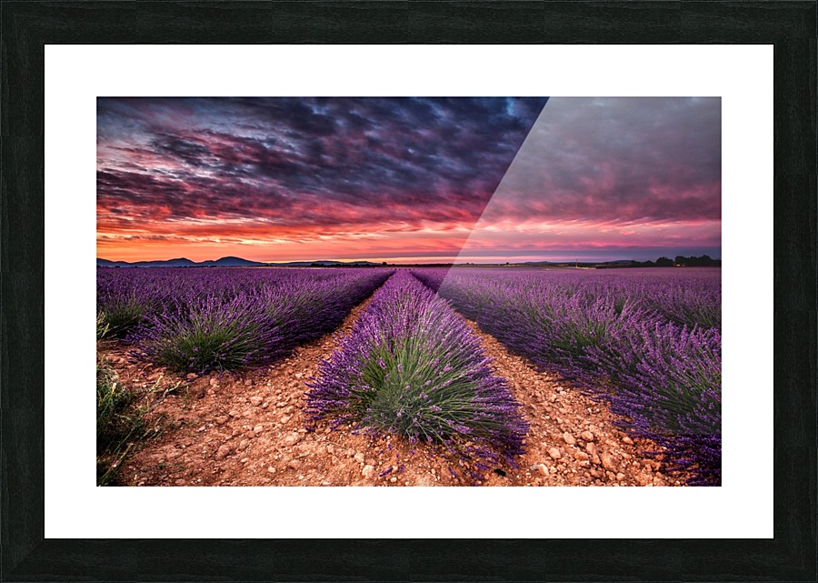 Wonderful World Picture Frame print