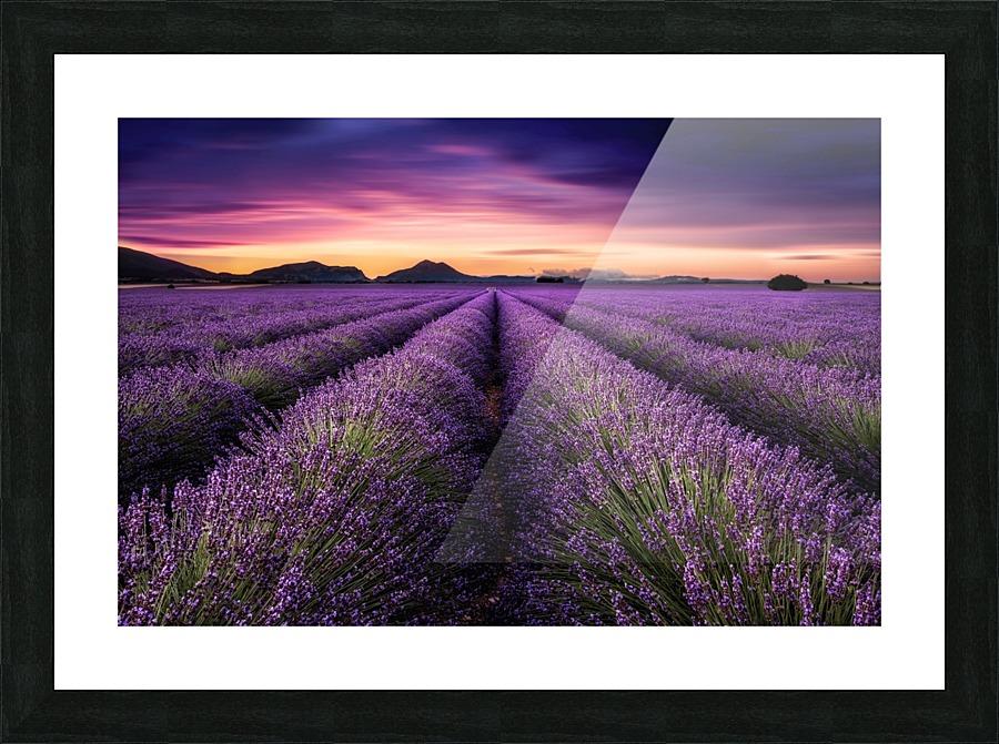 Mindfulness Picture Frame print