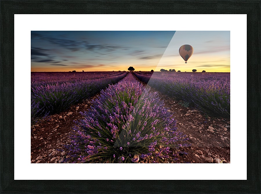 Fly away Picture Frame print