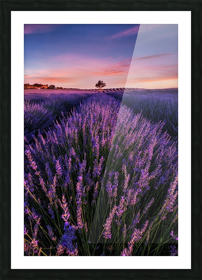 Into the dream Picture Frame print
