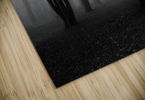 No mans land Jorge Maia puzzle