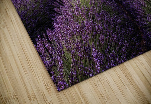 Mindfulness Jorge Maia puzzle