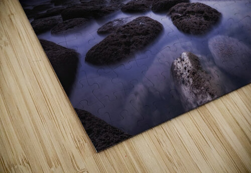 Electric dreams Jorge Maia puzzle