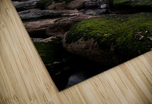 Natures splendor Jorge Maia puzzle