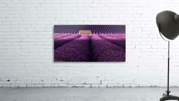Light me up Wall Preview