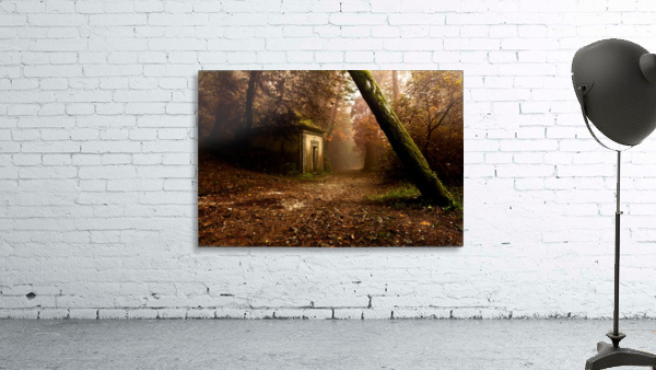 The enchanted trail Wall Preview