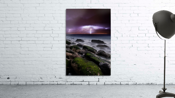 Natures splendor Wall Preview