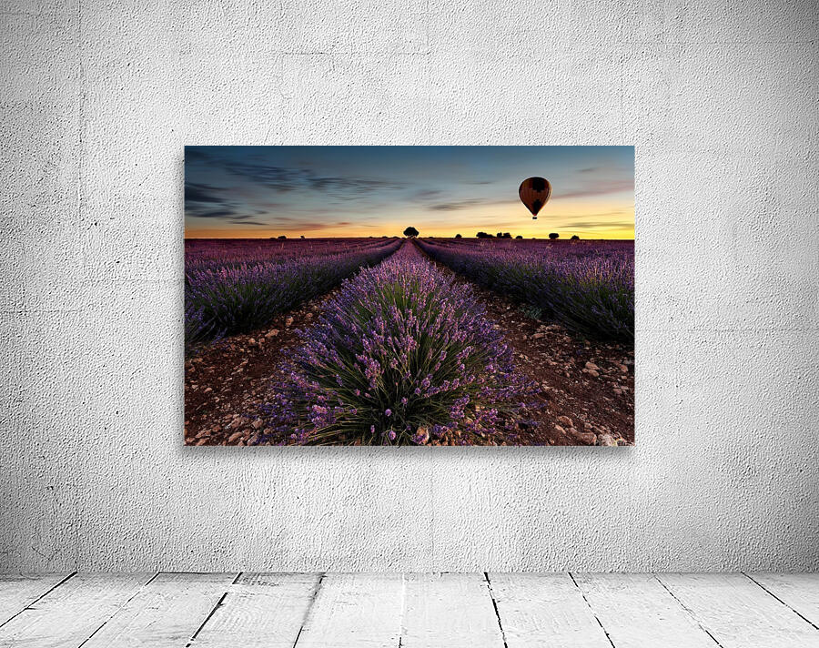 Fly away Wall Preview