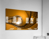 Taking Shape Acrylic Print