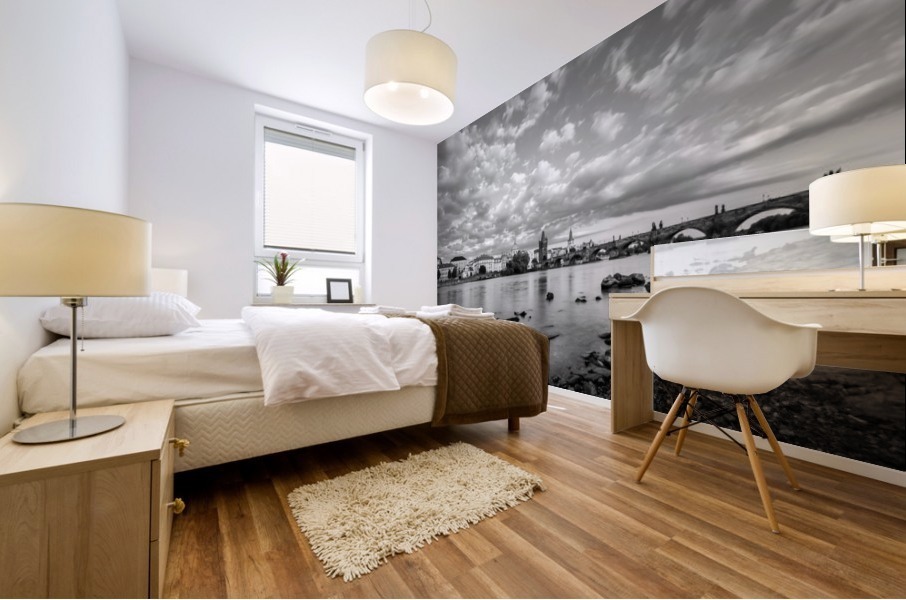 Low Tide Mural print