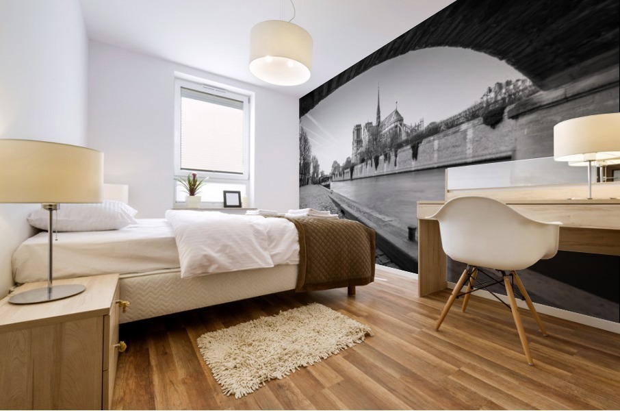 Paris Classic Mural print