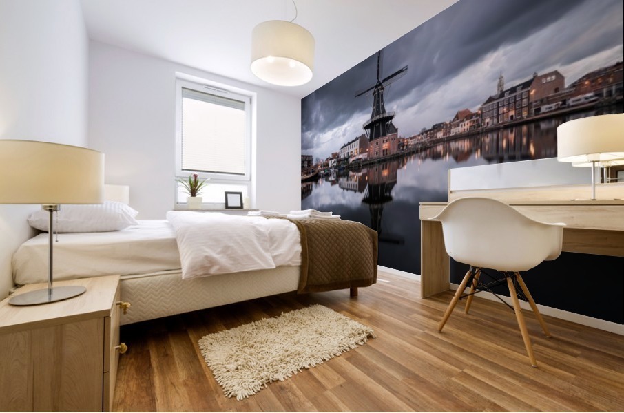 Storm Front Mural print
