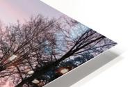 Millers Crossing HD Metal print