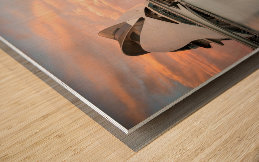 Floating City Wood print