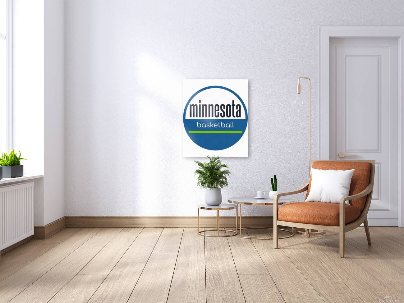 Minnesota Timberwolves 2 Reproduction