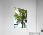 Moorea French Polynesia Acrylic Print