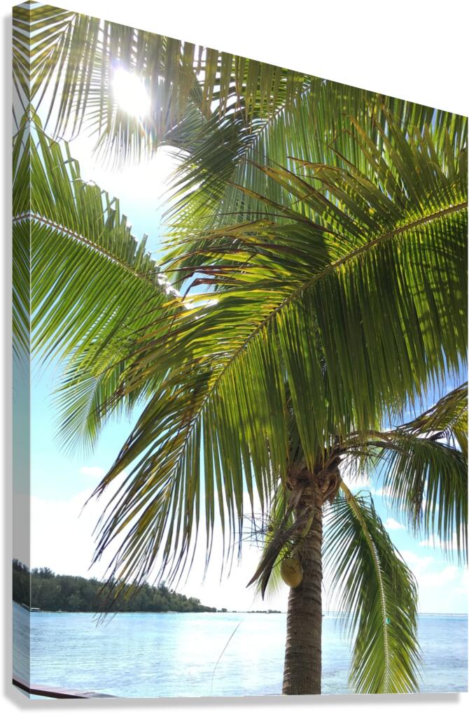 Moorea French Polynesia Canvas Print