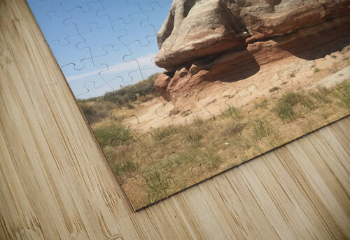 Elephants Foot Chancellor Photography puzzle