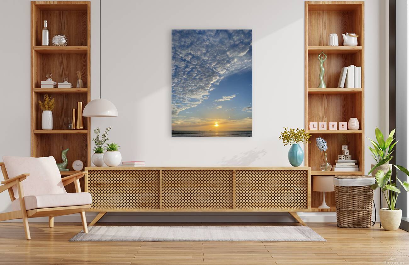 Playa del Rey Reproduction