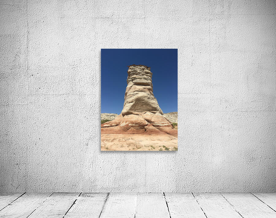 Elephants Foot Wall Preview