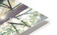 Wanderlust II HD Metal print