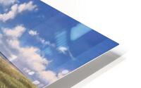 Beach Reach HD Metal print