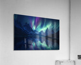 Frozen Light  I Modern Wall Art I Abstract Floral Minimalist Prints I Premium Canvas  Acrylic Framed  Metal Art for Home & Office Decor Acrylic Print