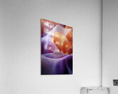 ORGANIC FLOW 56 Acrylic Print