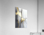 ORGANIC FLOW 70 Acrylic Print