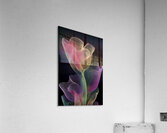 FLORAL 14 Acrylic Print