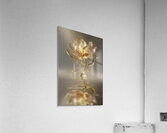 FLORAL 27 Acrylic Print