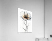 FLORAL 38 Acrylic Print
