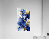 FLORAL 41 Acrylic Print