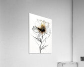 FLORAL 52 Acrylic Print