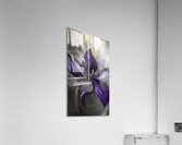 FLORAL 73 Acrylic Print