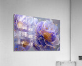 FLORAL 22 Acrylic Print