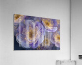 FLORAL 33 Acrylic Print