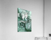 FLORAL 74 Acrylic Print