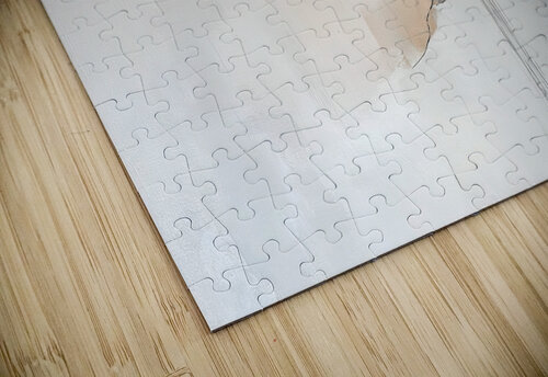 MODERN MINIMALISM 5 PRESTIGE ABSTRACTS puzzle