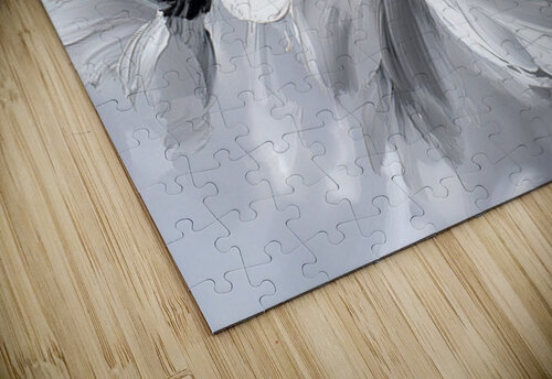 FLORAL 24 PRESTIGE ABSTRACTS puzzle