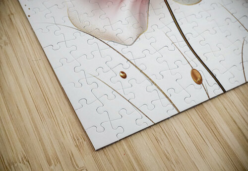 FLORAL 5 PRESTIGE ABSTRACTS puzzle