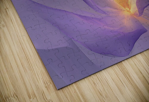 FLORAL 53 PRESTIGE ABSTRACTS puzzle