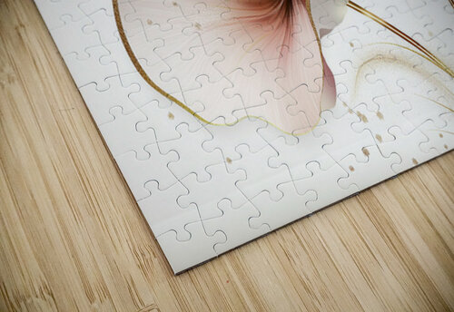 FLORAL 55 PRESTIGE ABSTRACTS puzzle