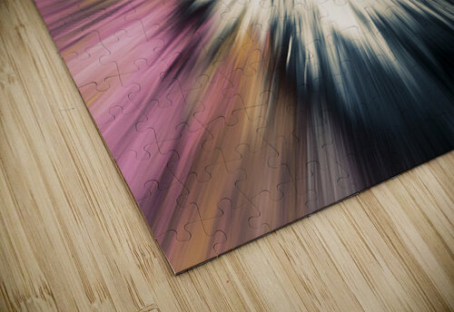 MODERN ABSTRACT 16 PRESTIGE ABSTRACTS puzzle