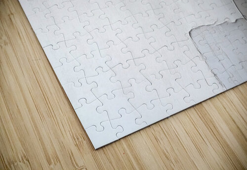 MODERN NEUTRAL 30 PRESTIGE ABSTRACTS puzzle