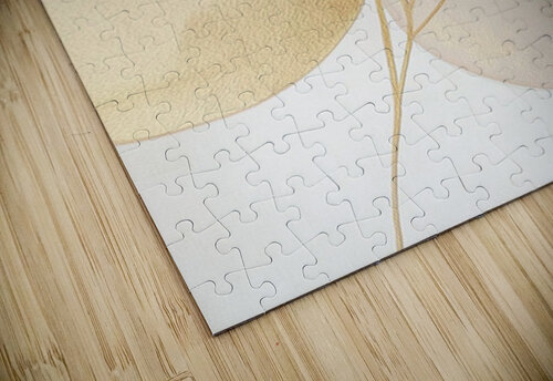 MODERN NEUTRAL 57 PRESTIGE ABSTRACTS puzzle