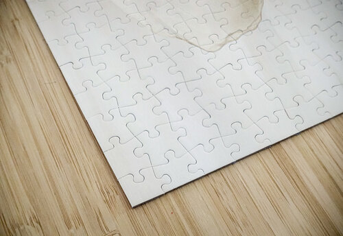 MODERN NEUTRAL 19 PRESTIGE ABSTRACTS puzzle