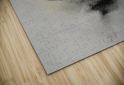 MODERN NEUTRAL 38 PRESTIGE ABSTRACTS puzzle